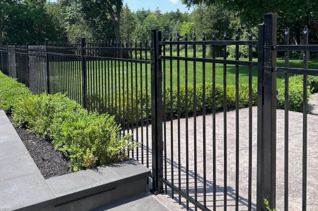 Ornamental Iron Fence